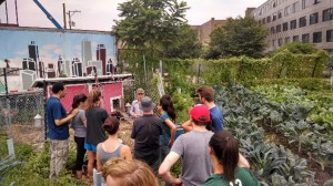 Dave leads volunteers on a tour