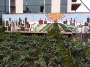 A mural of the farm decorates a flatbed trailer that doubles as storage and a shield from the busy street